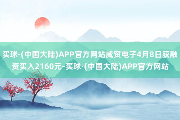 买球·(中国大陆)APP官方网站威贸电子4月8日获融资买入2160元-买球·(中国大陆)APP官方网站