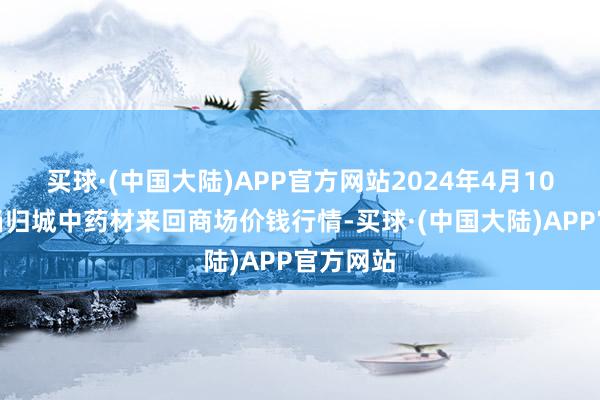 买球·(中国大陆)APP官方网站2024年4月10日岷县当归城中药材来回商场价钱行情-买球·(中国大陆)APP官方网站