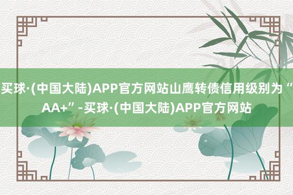 买球·(中国大陆)APP官方网站山鹰转债信用级别为“AA+”-买球·(中国大陆)APP官方网站