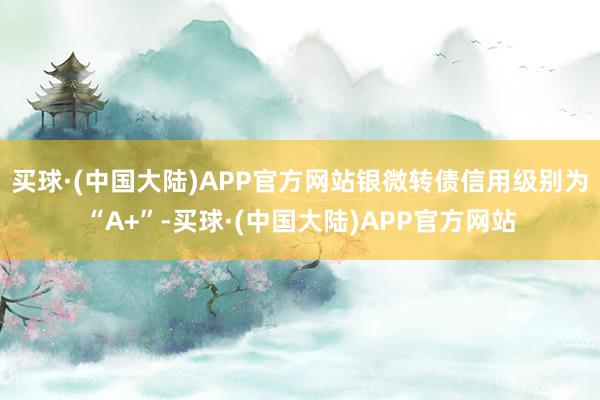 买球·(中国大陆)APP官方网站银微转债信用级别为“A+”-买球·(中国大陆)APP官方网站