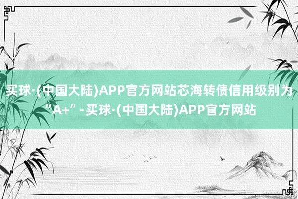 买球·(中国大陆)APP官方网站芯海转债信用级别为“A+”-买球·(中国大陆)APP官方网站