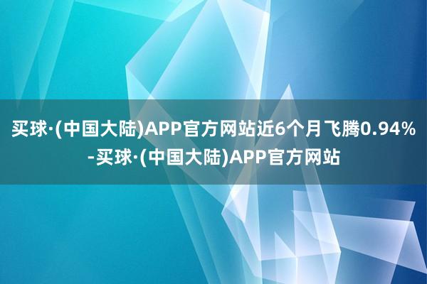 买球·(中国大陆)APP官方网站近6个月飞腾0.94%-买球·(中国大陆)APP官方网站