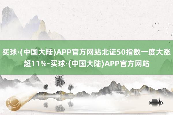 买球·(中国大陆)APP官方网站北证50指数一度大涨超11%-买球·(中国大陆)APP官方网站