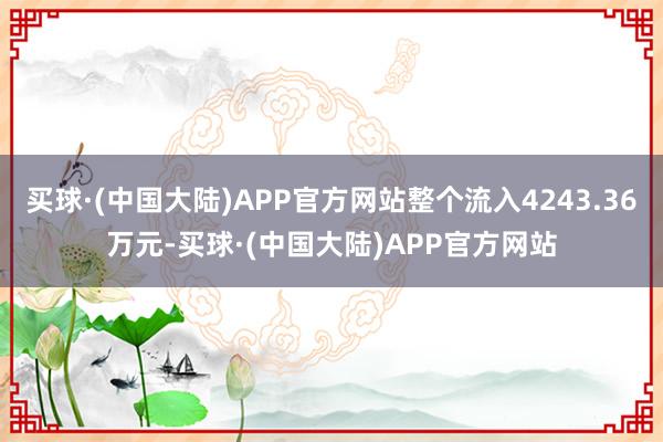 买球·(中国大陆)APP官方网站整个流入4243.36万元-买球·(中国大陆)APP官方网站