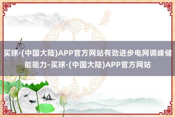 买球·(中国大陆)APP官方网站有劲进步电网调峰储能能力-买球·(中国大陆)APP官方网站