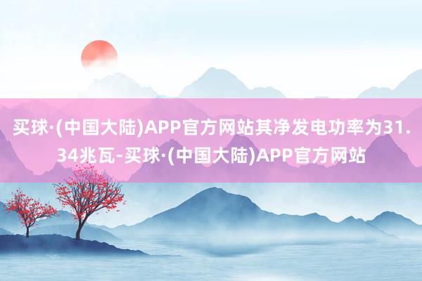 买球·(中国大陆)APP官方网站其净发电功率为31.34兆瓦-买球·(中国大陆)APP官方网站