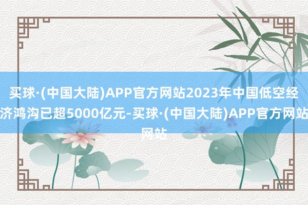 买球·(中国大陆)APP官方网站2023年中国低空经济鸿沟已超5000亿元-买球·(中国大陆)APP官方网站