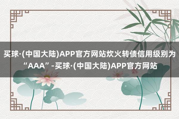 买球·(中国大陆)APP官方网站炊火转债信用级别为“AAA”-买球·(中国大陆)APP官方网站